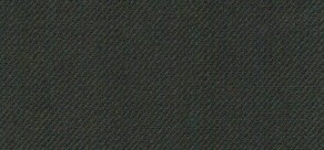 Carlo Lusso Olive Suit Olive