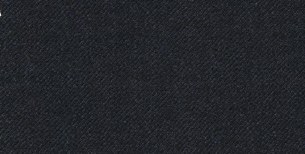 Giorgio Fiorelli Solid Charcoal Suit Solid Charcoal