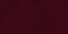 Burgundy velvet jacket Burgundy