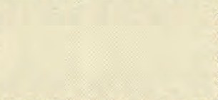 Exact supplier fabric and colour swatch: Giorgio Fiorelli G47815-7, Ivory