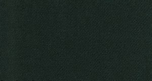 Giorgio Fiorelli Hunter Green Vest Hunter Green