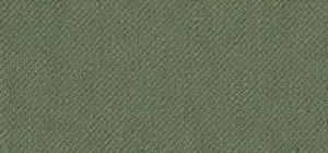 Giorgio Fiorelli Sage Vest Sage